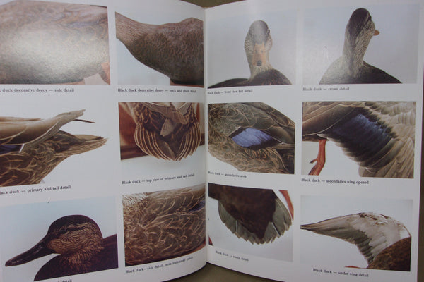 Lot of 5 Carving & Painting Books