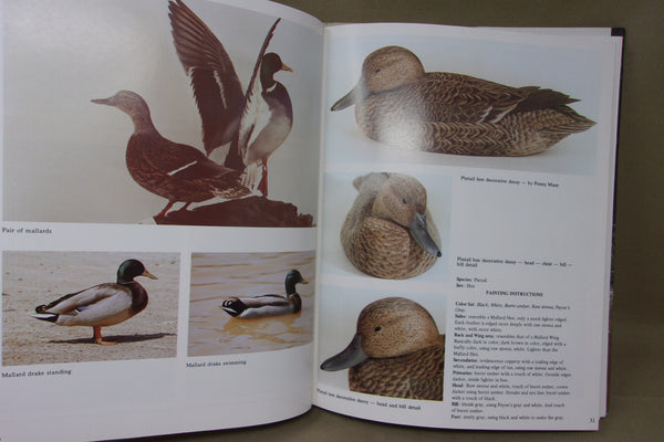 Lot of 5 Carving & Painting Books