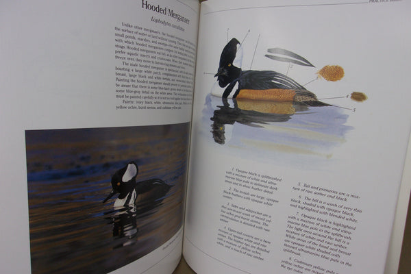 Lot of 5 Carving & Painting Books