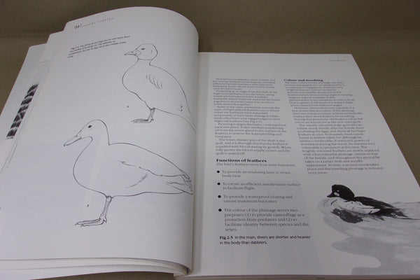 Lot of 7 Decoy Carving and Painting Books