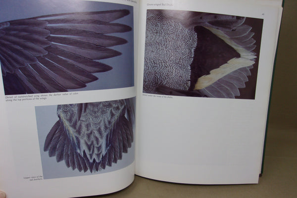 Lot of 7 Decoy Carving and Painting Books