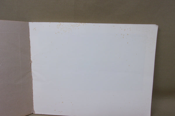 Louisiana Duck Decoys by Charles W. Frank, Jr.