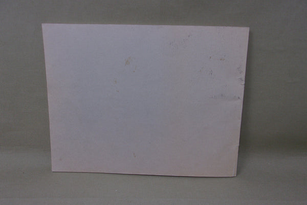 Louisiana Duck Decoys by Charles W. Frank, Jr.