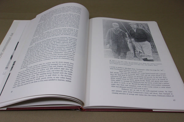 Shang, Biography of Shang Wheeler, by Merkt & Lytle