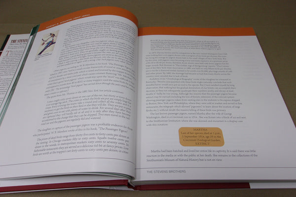 The Stevens Brothers, Their Lives, The Times, and Their Decoys