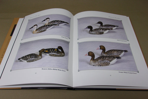Waterfowl of the World in Miniature, Robert G. Kerr, Ontario Canada