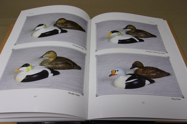 Waterfowl of the World in Miniature, Robert G. Kerr, Ontario Canada