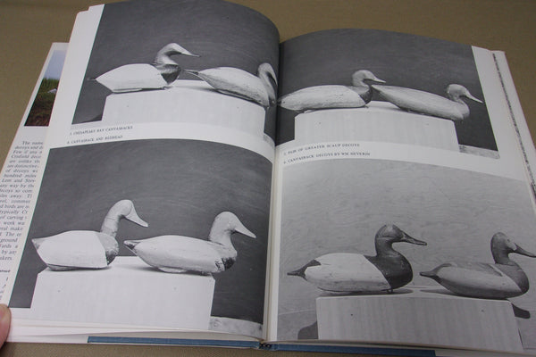 L.T. Ward & Bro. Wildfowl Counterfeiters by Randy Rowe