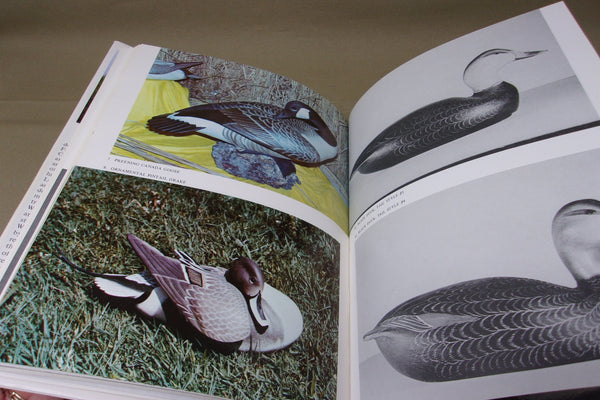 L.T. Ward & Bro. Wildfowl Counterfeiters by Randy Rowe