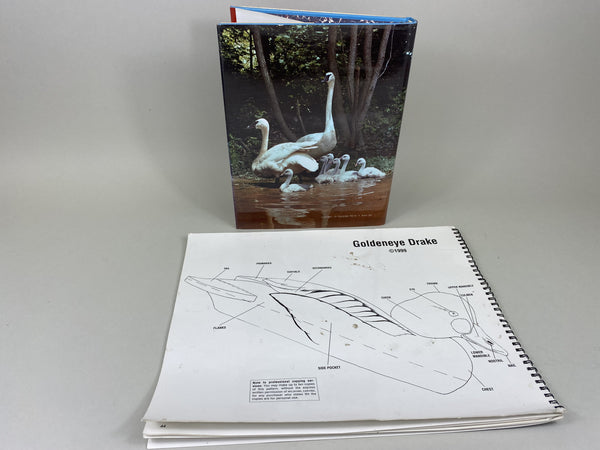 2 books- Workbench Projects & Waterfowl Painting