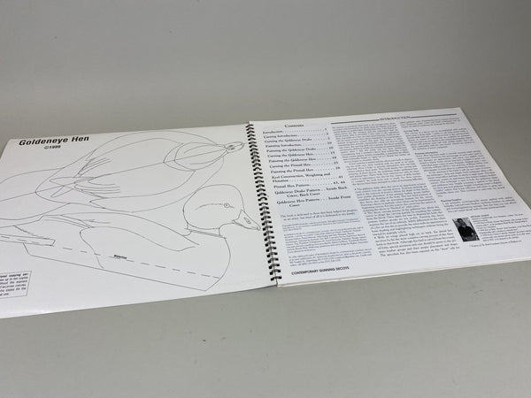 2 books- Workbench Projects & Waterfowl Painting