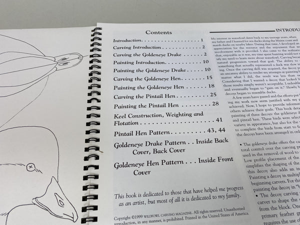 2 books- Workbench Projects & Waterfowl Painting