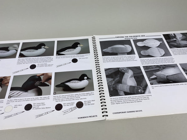 2 books- Workbench Projects & Waterfowl Painting