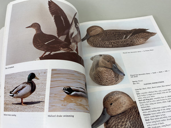 2 books- Workbench Projects & Waterfowl Painting