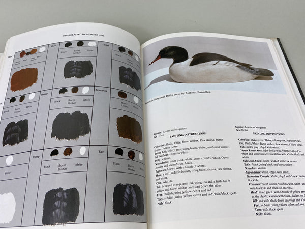 2 books- Workbench Projects & Waterfowl Painting