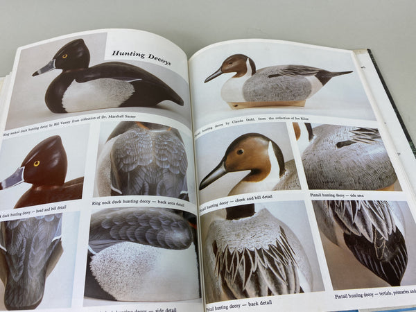 2 books- Workbench Projects & Waterfowl Painting