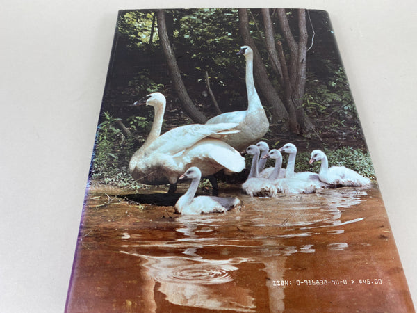 2 books- Workbench Projects & Waterfowl Painting