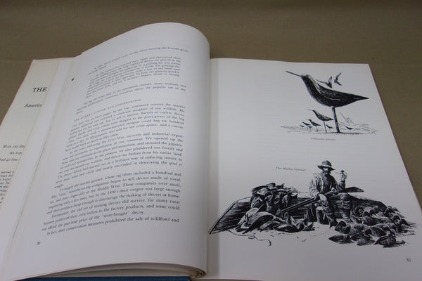 Art of The Decoy: American Bird Carvings, by Adele Earnest