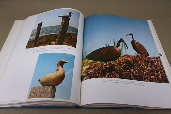 Art of The Decoy: American Bird Carvings, by Adele Earnest