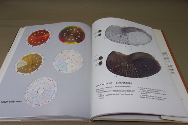 Decoys the Art of the Wooden Bird, Richard LeMaster