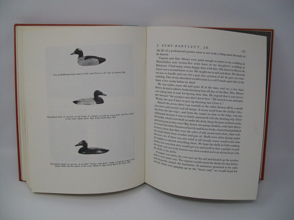 Duck Shooting Along the Atlantic Tidewater