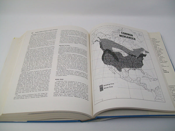 Ducks, Geese & Swans of North America