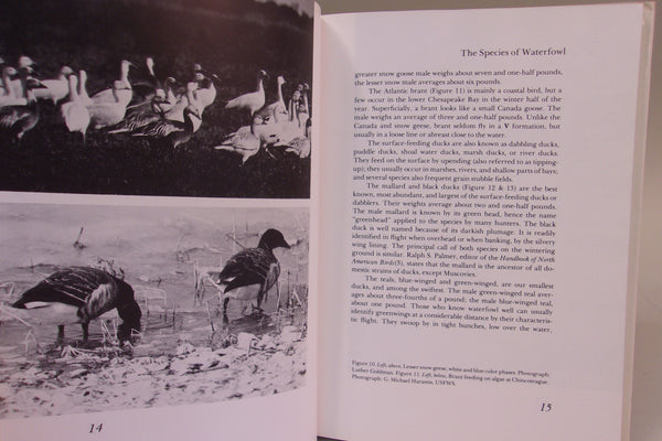 Two Books- Waterfowl of the Chesapeake Bay Country & New Jersey Decoys