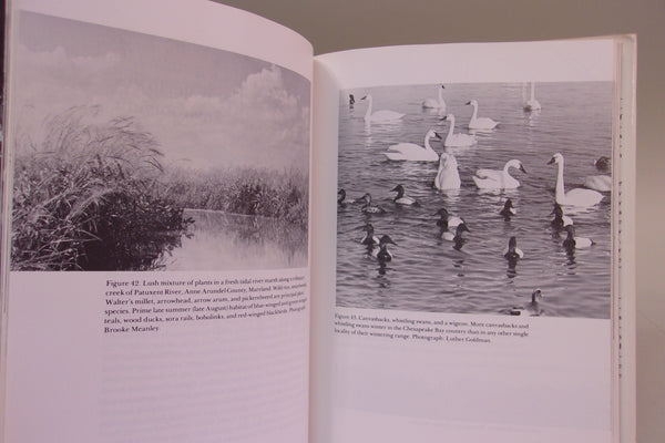 Two Books- Waterfowl of the Chesapeake Bay Country & New Jersey Decoys