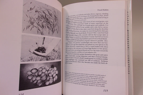 Two Books- Waterfowl of the Chesapeake Bay Country & New Jersey Decoys