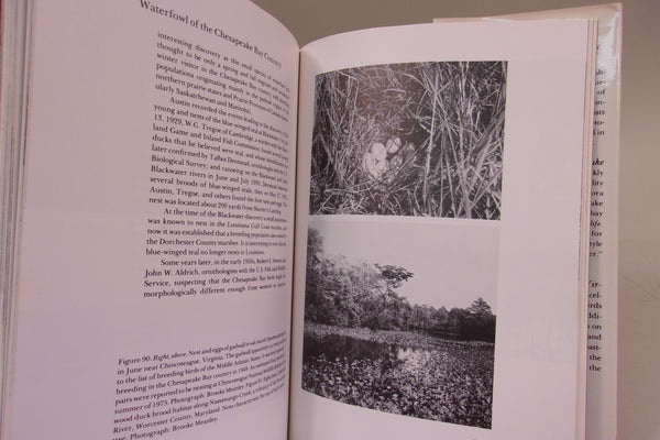 Two Books- Waterfowl of the Chesapeake Bay Country & New Jersey Decoys