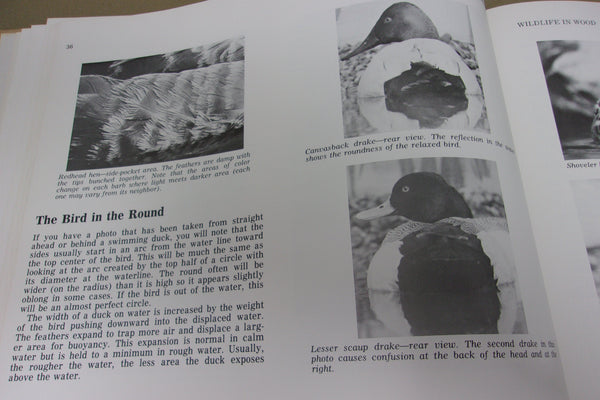 Wildlife in Wood by LeMaster